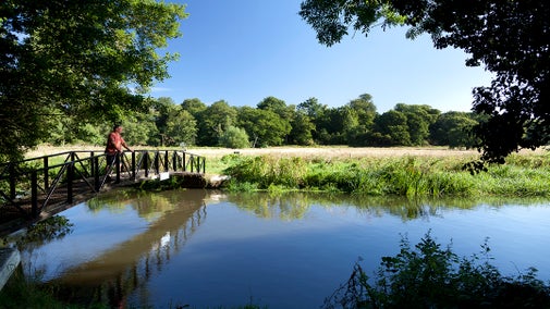 Man standing on the footbridge over the River Wey near Bowers Lock